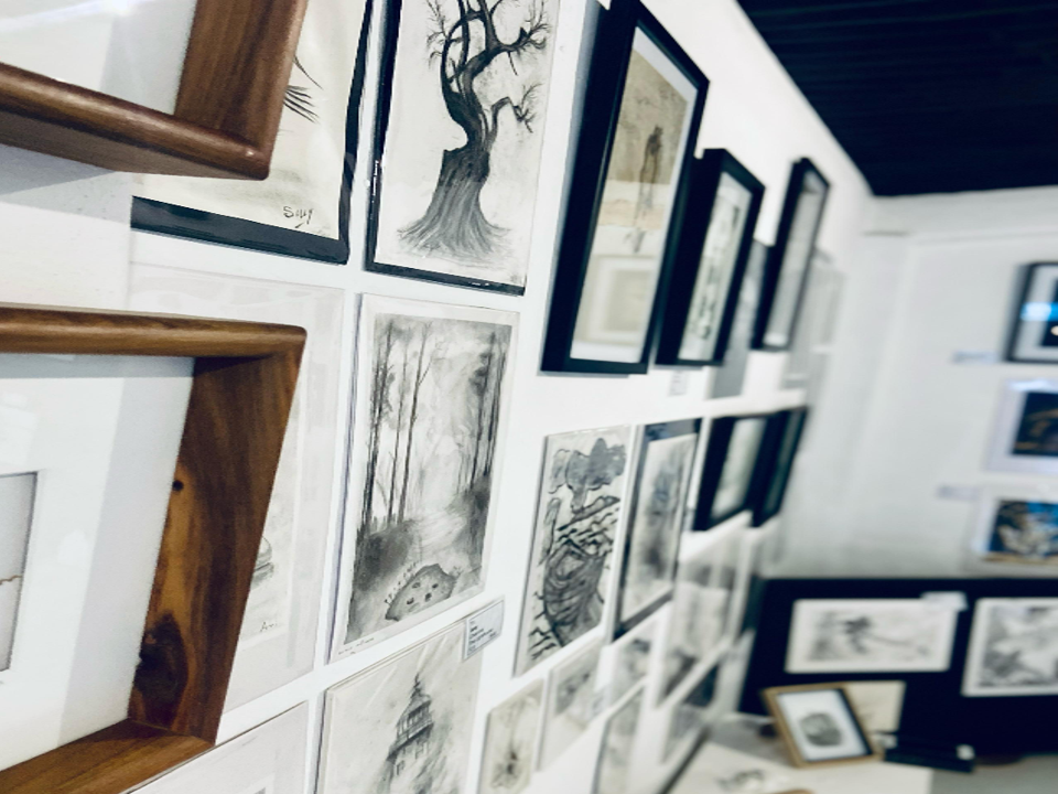 Plett Arts Festival 2025 highlight 22