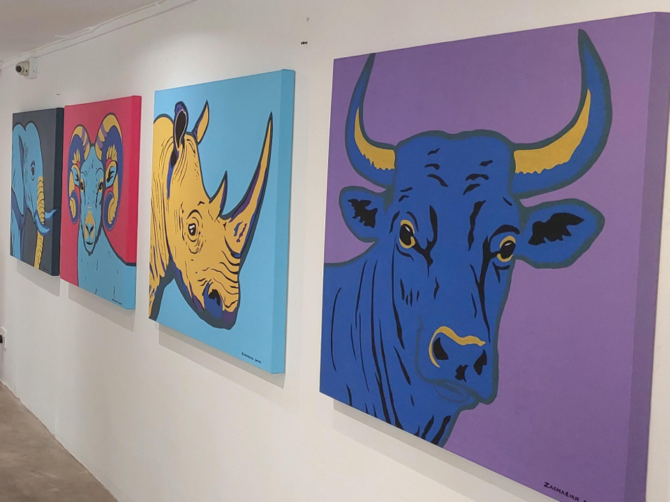 Plett Arts Festival 2025 highlight 43