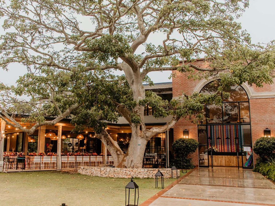 Plett Arts Festival 2025 highlight 57