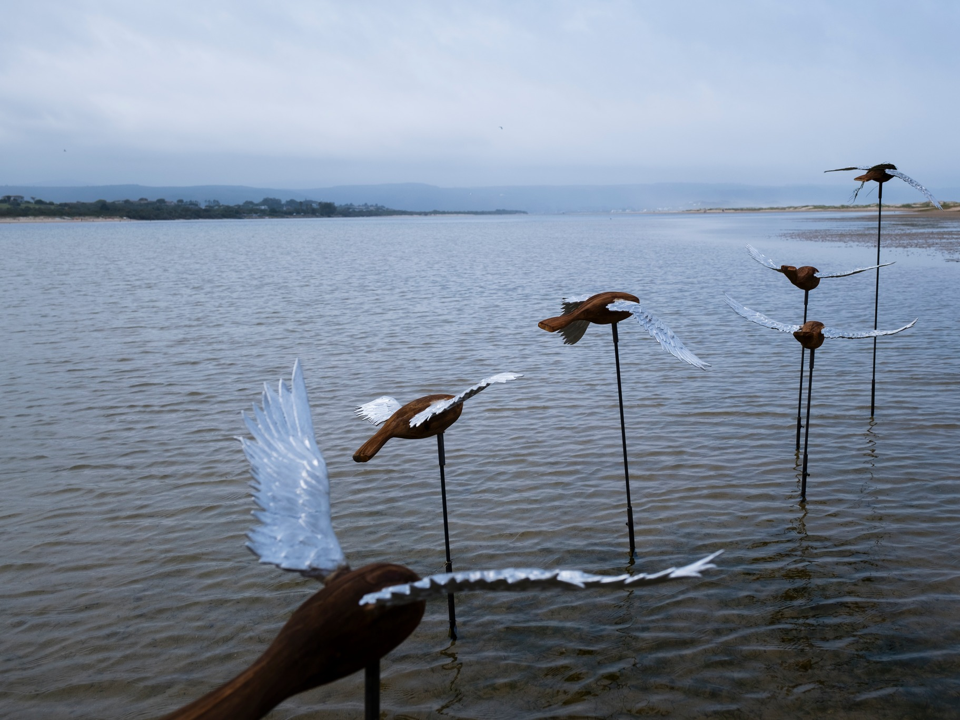 Plett Arts Festival 2025 highlight 46