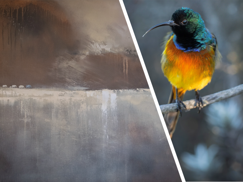 Plett Arts Festival 2025 highlight 15