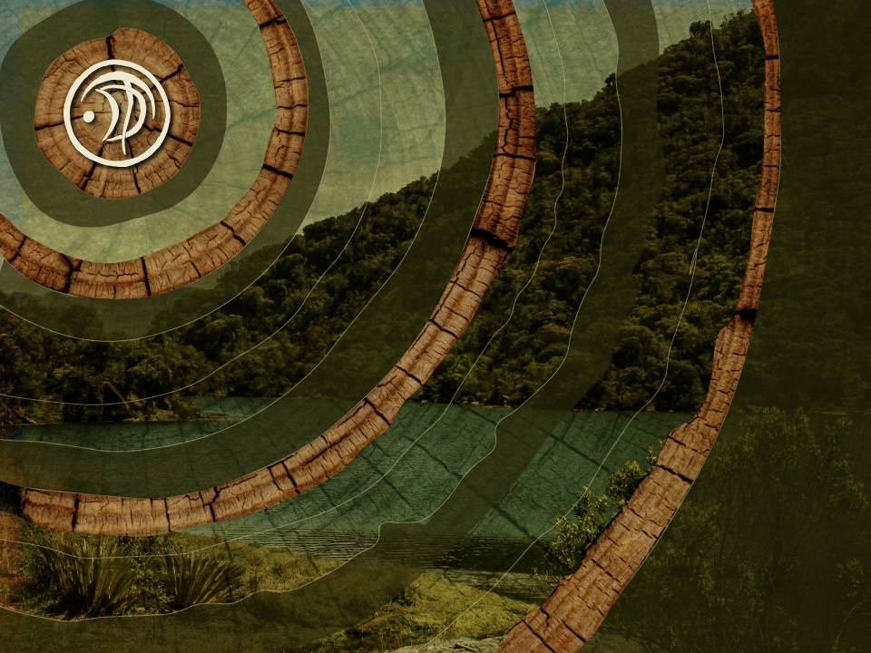 Plett Arts Festival 2025 highlight 50