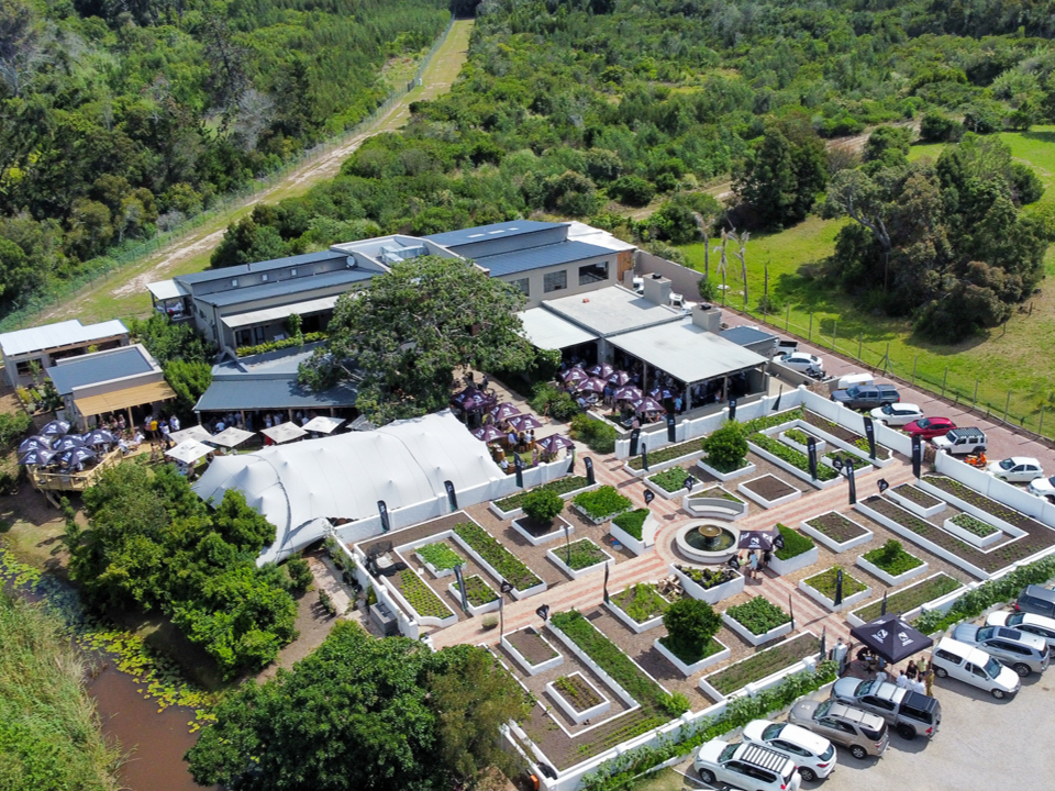 Plett Arts Festival 2025 highlight 54