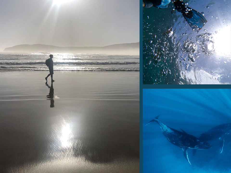 Plett Arts Festival 2025 highlight 70