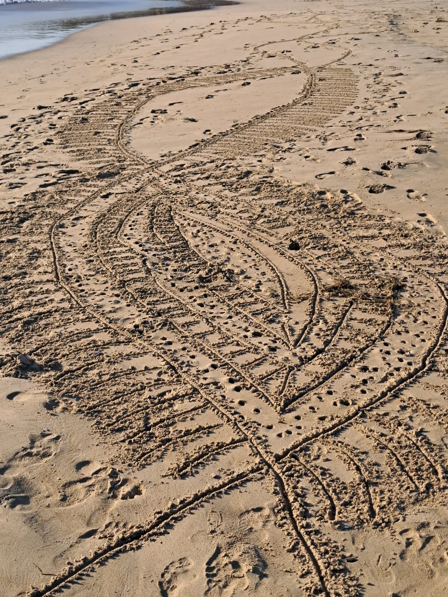Beach scribing workshop