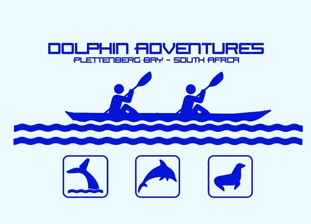 Ocean Festival Kayak Tours