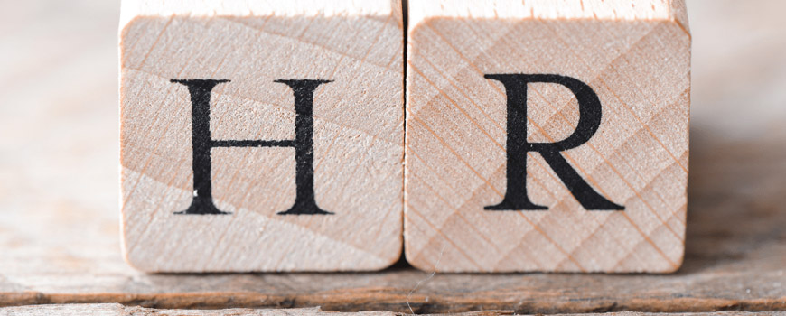 HR erp24