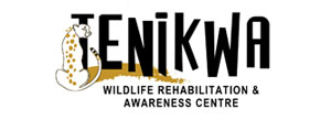 Tenikwa